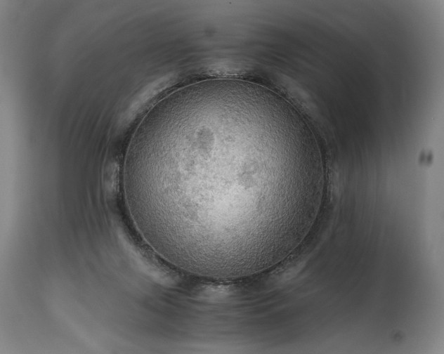 X0000111030071200906251315