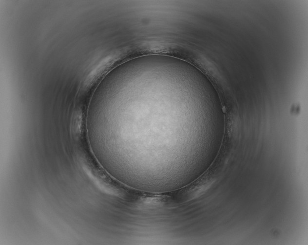 X0000111030072200906251315