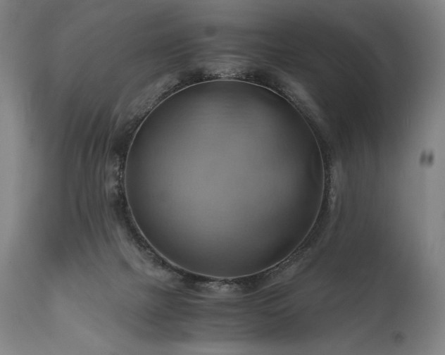 X0000111030073200906251315