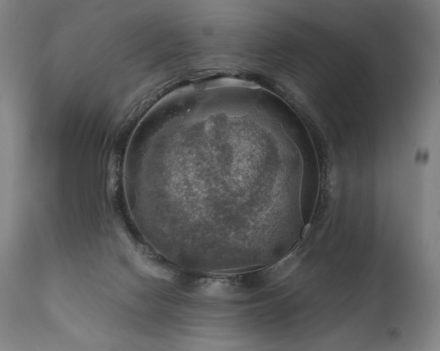 X0000111030074200906251315