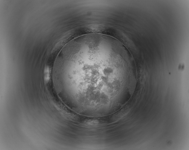 X0000111030075200906251315