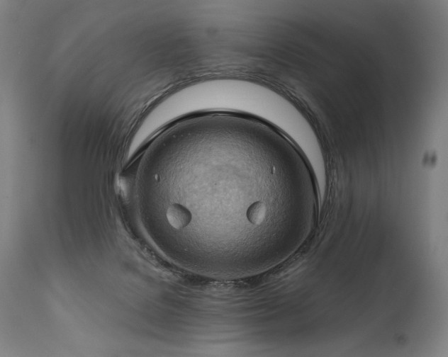 X0000111030076200906251315