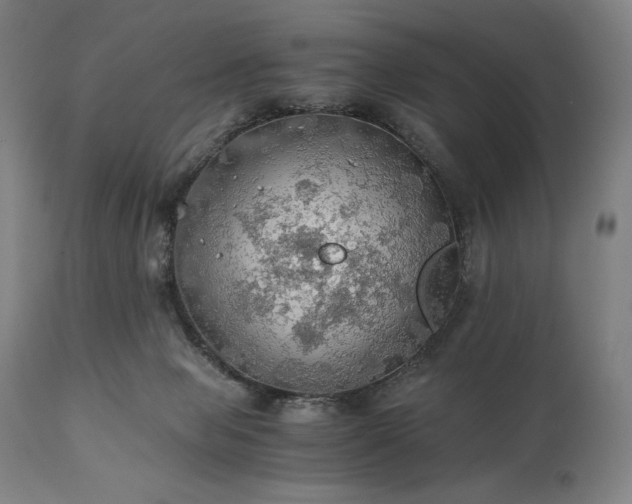 X0000111030077200906251315