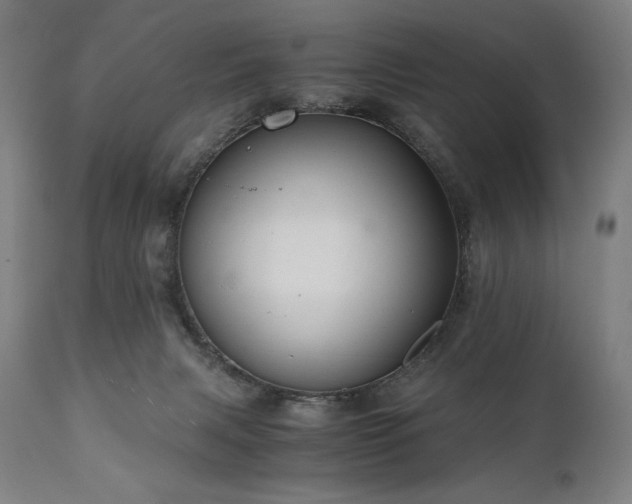 X0000111030079200906251315