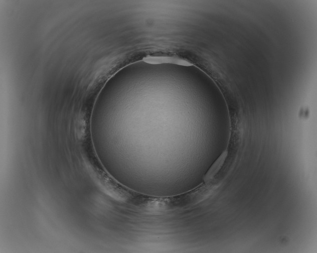 X0000111030080200906251315