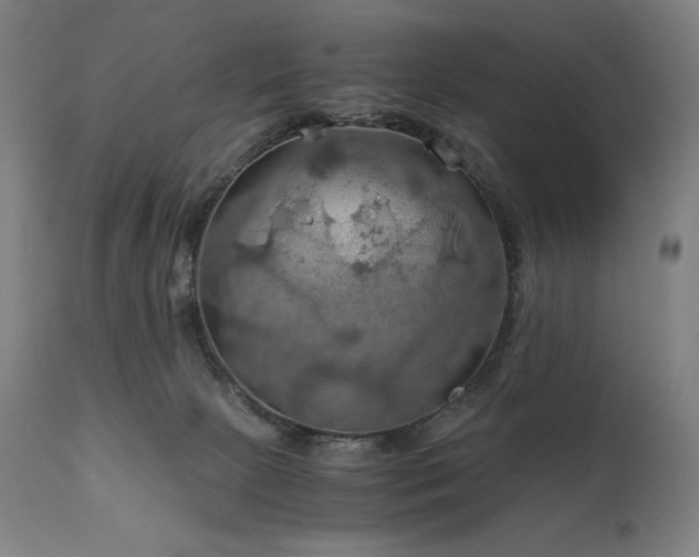 X0000111030081200906251315
