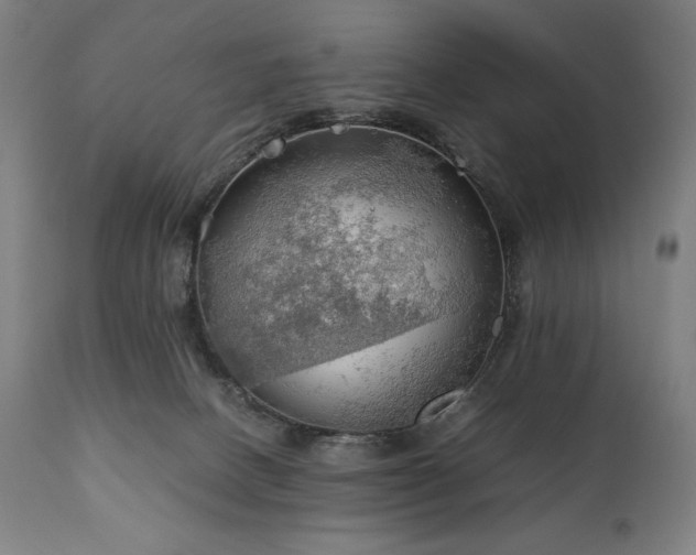 X0000111030082200906251315