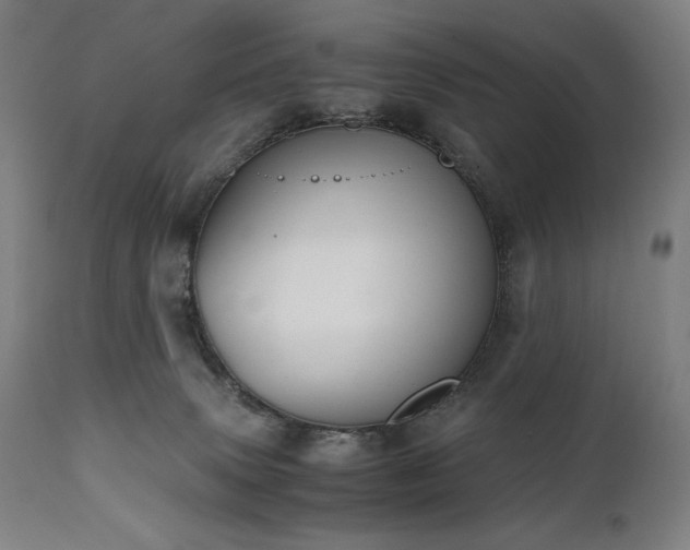 X0000111030083200906251315
