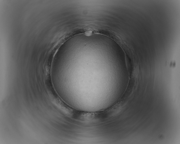 X0000111030084200906251315