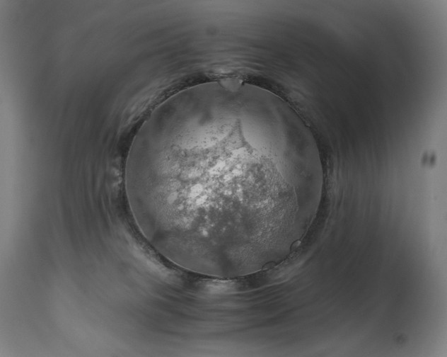 X0000111030085200906251315
