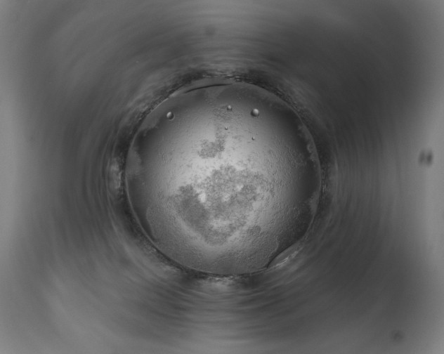 X0000111030086200906251315