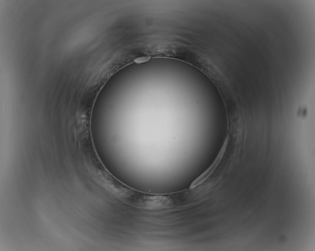 X0000111030087200906251315