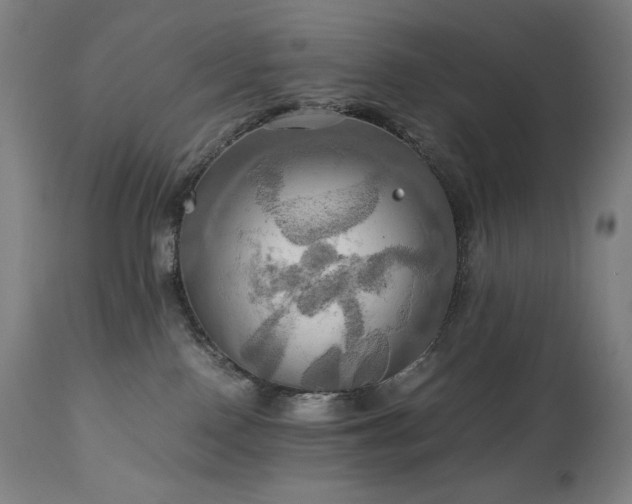 X0000111030090200906251315