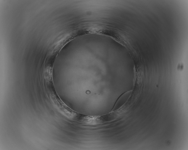 X0000111030093200906251315
