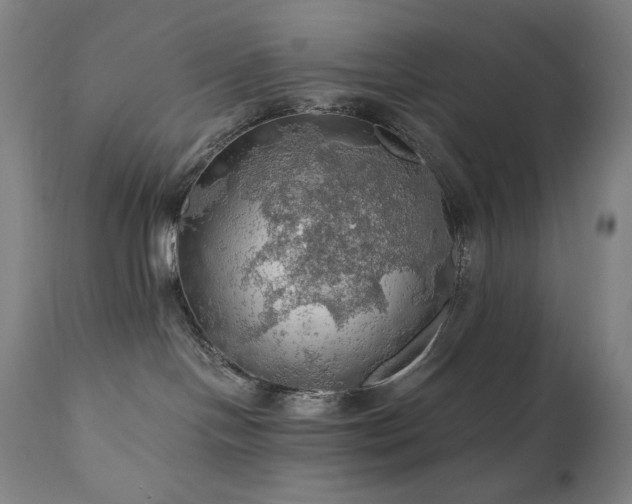 X0000111030094200906251315