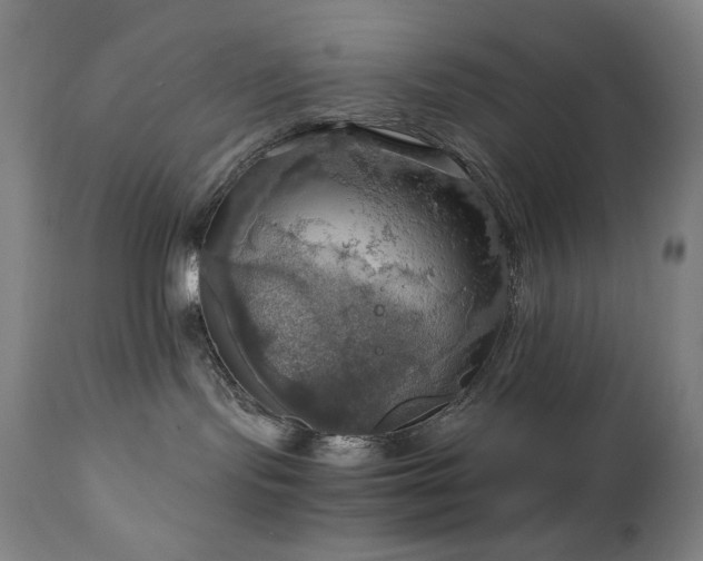 X0000111030095200906251315