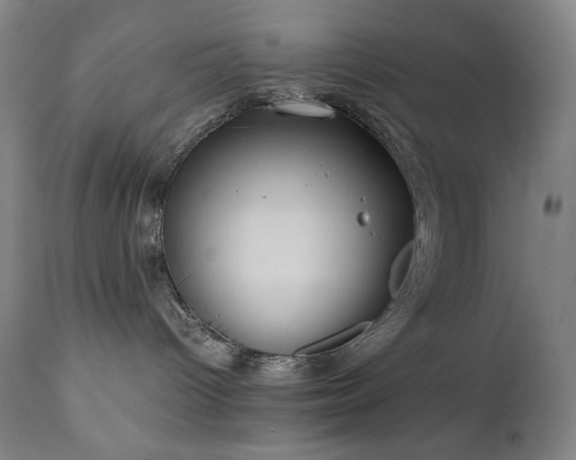 X0000111030096200906251315