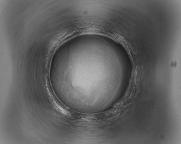 X0000111030097200906251314