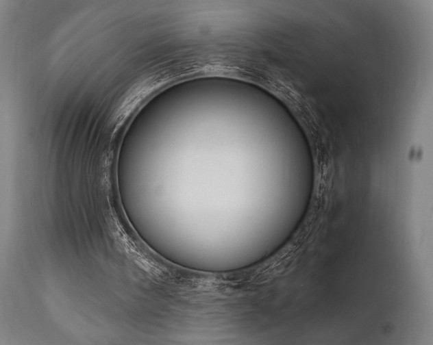 X0000111030098200906251314