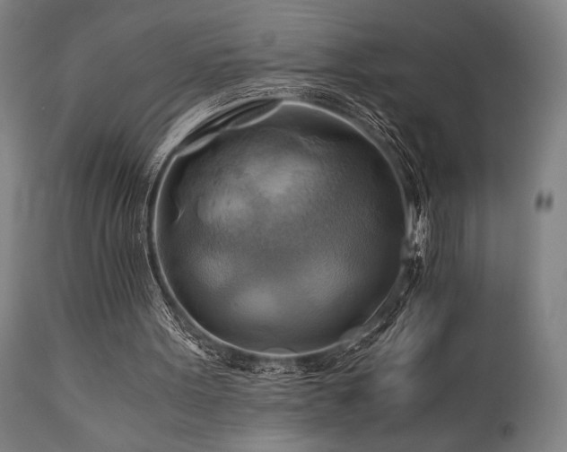 X0000111030099200906251314