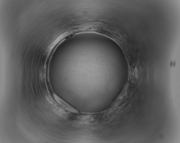X0000111030100200906251314
