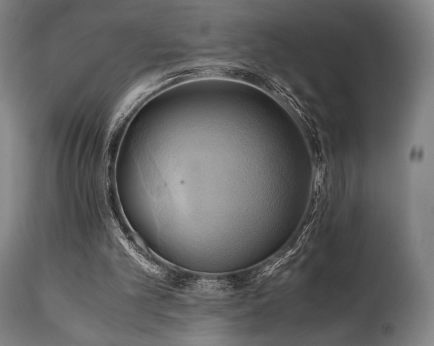 X0000111030101200906251314