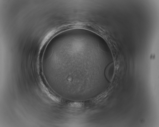 X0000111030102200906251314