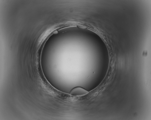 X0000111030103200906251314
