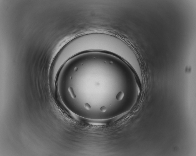 X0000111030104200906251314