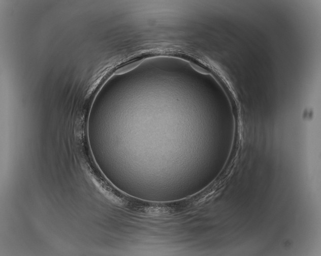 X0000111030105200906251314