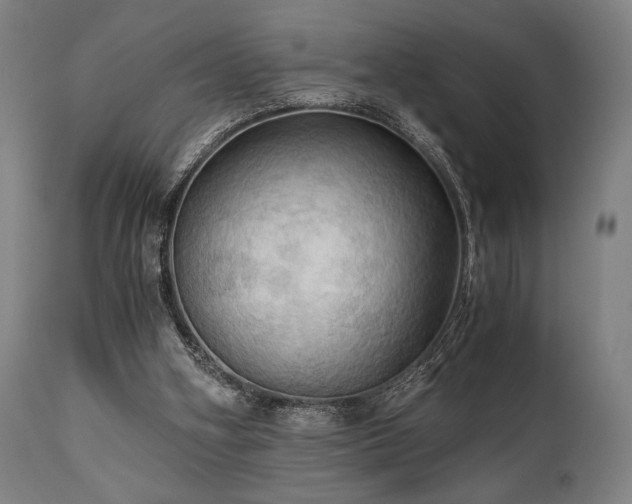 X0000111030106200906251314