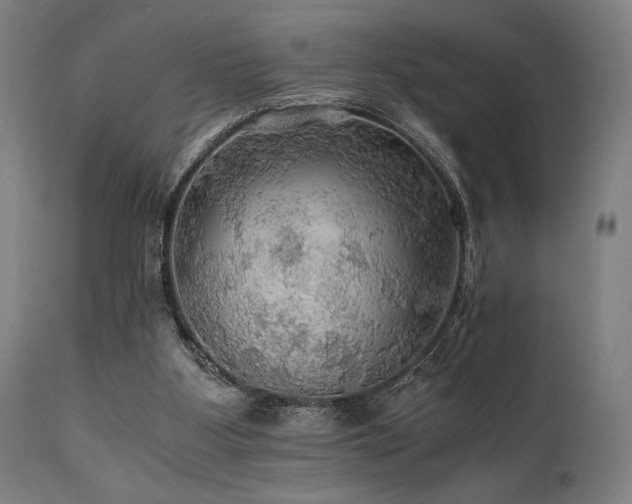 X0000111030107200906251314