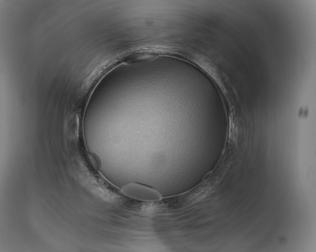 X0000111030109200906251314