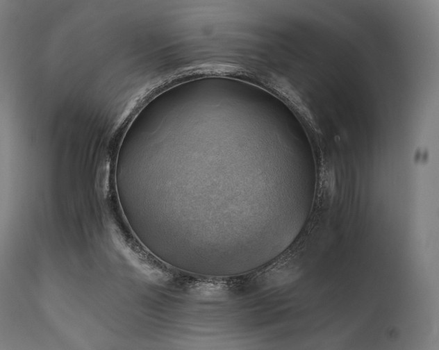 X0000111030110200906251314