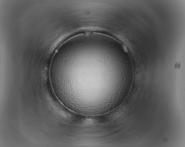 X0000111030111200906251314