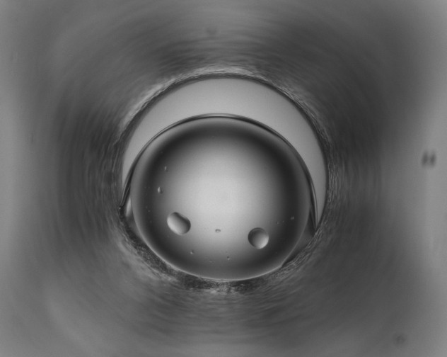 X0000111030112200906251314