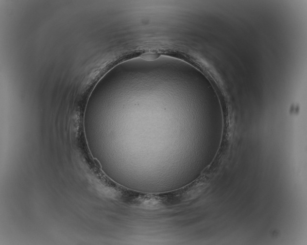 X0000111030113200906251314