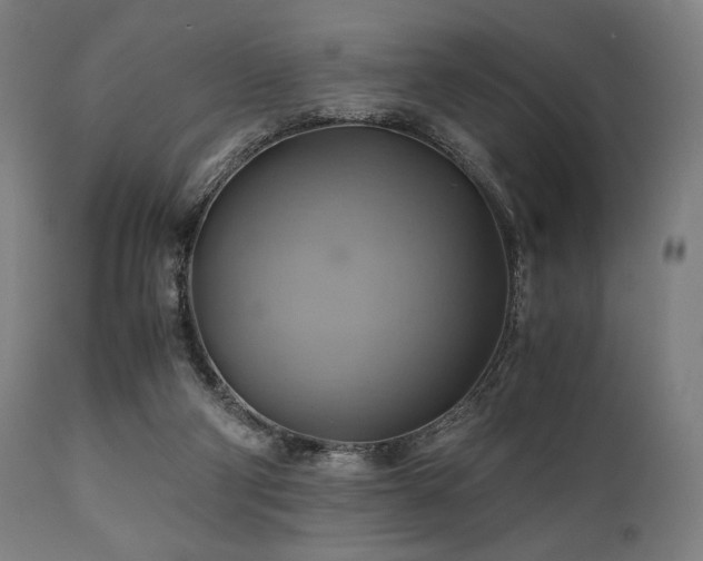 X0000111030114200906251314