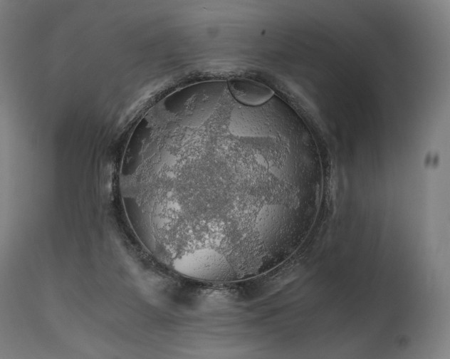 X0000111030115200906251314