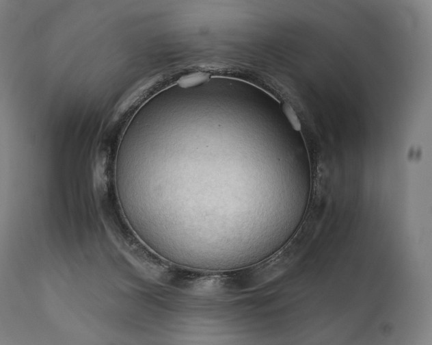 X0000111030116200906251314