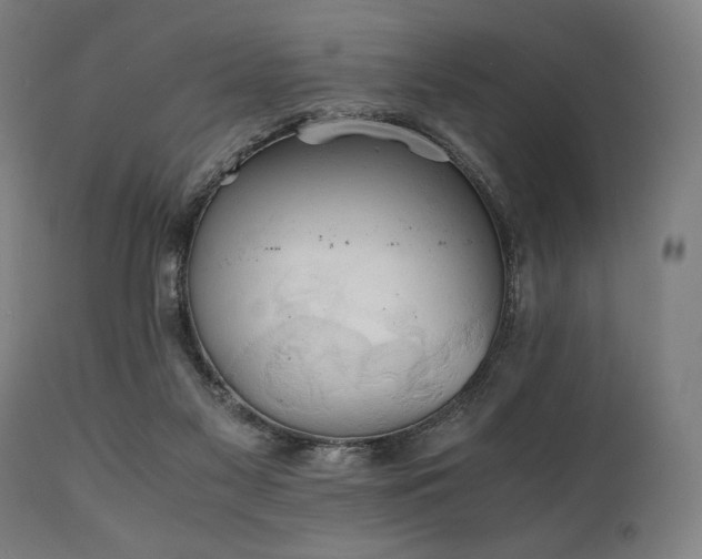 X0000111030117200906251314