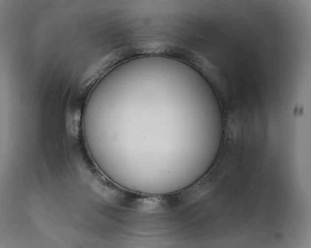 X0000111030118200906251314