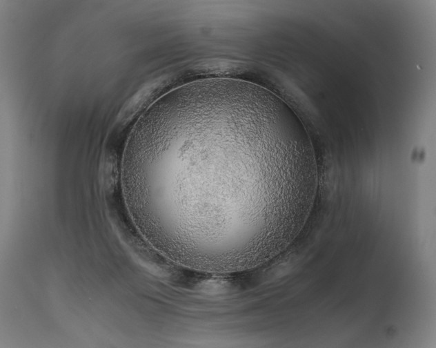 X0000111030119200906251314