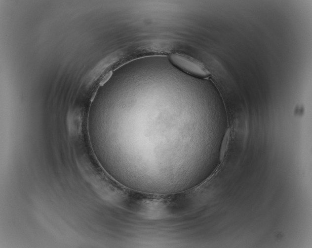 X0000111030120200906251314