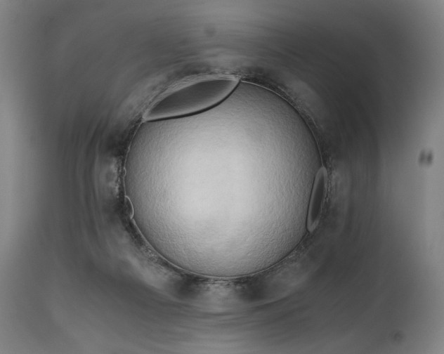 X0000111030121200906251314