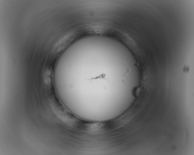 X0000111030122200906251314