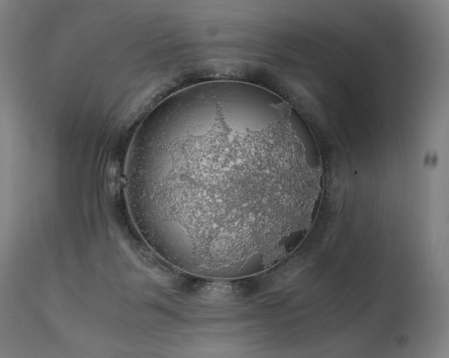 X0000111030123200906251314