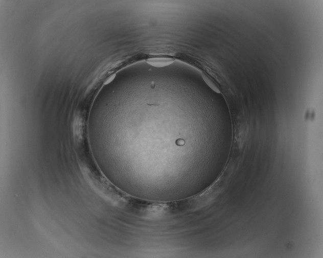 X0000111030124200906251314