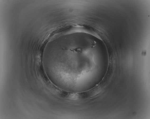 X0000111030127200906251314
