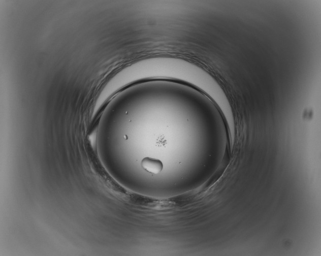 X0000111030128200906251314